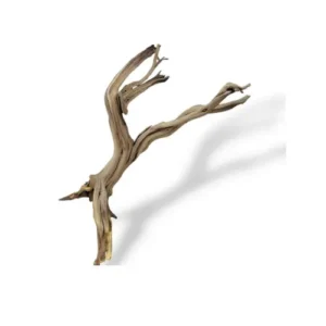 Tronco adorno madera natural