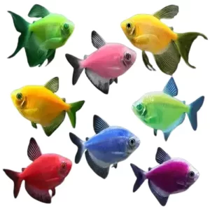 Monja transgenica colores