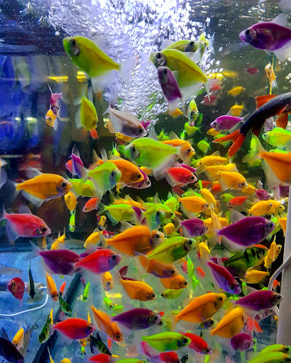 Photo from customer review