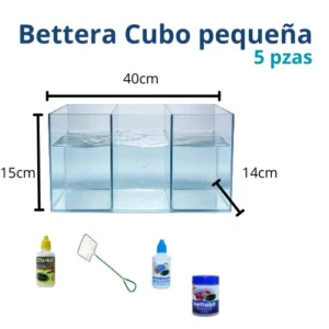 Bettera 3 divisiones equipada