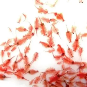 Artemia viva (Bolsa)
